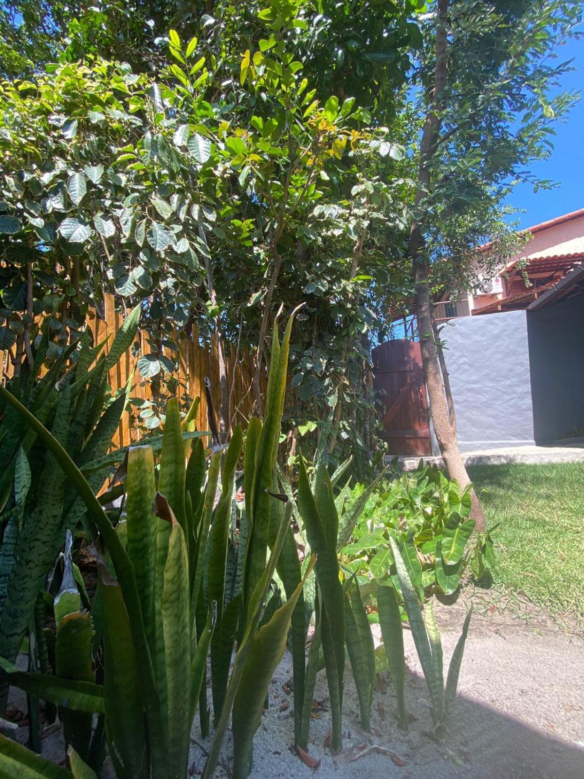 Little Kamala Holiday home