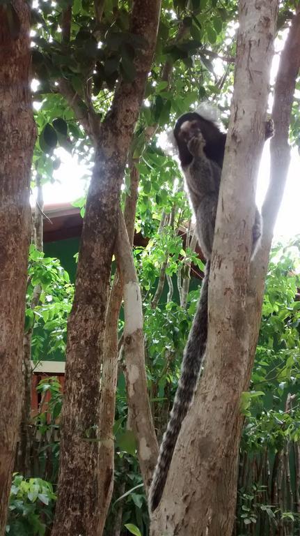 Holiday home Little Kamala Praia de Pipa